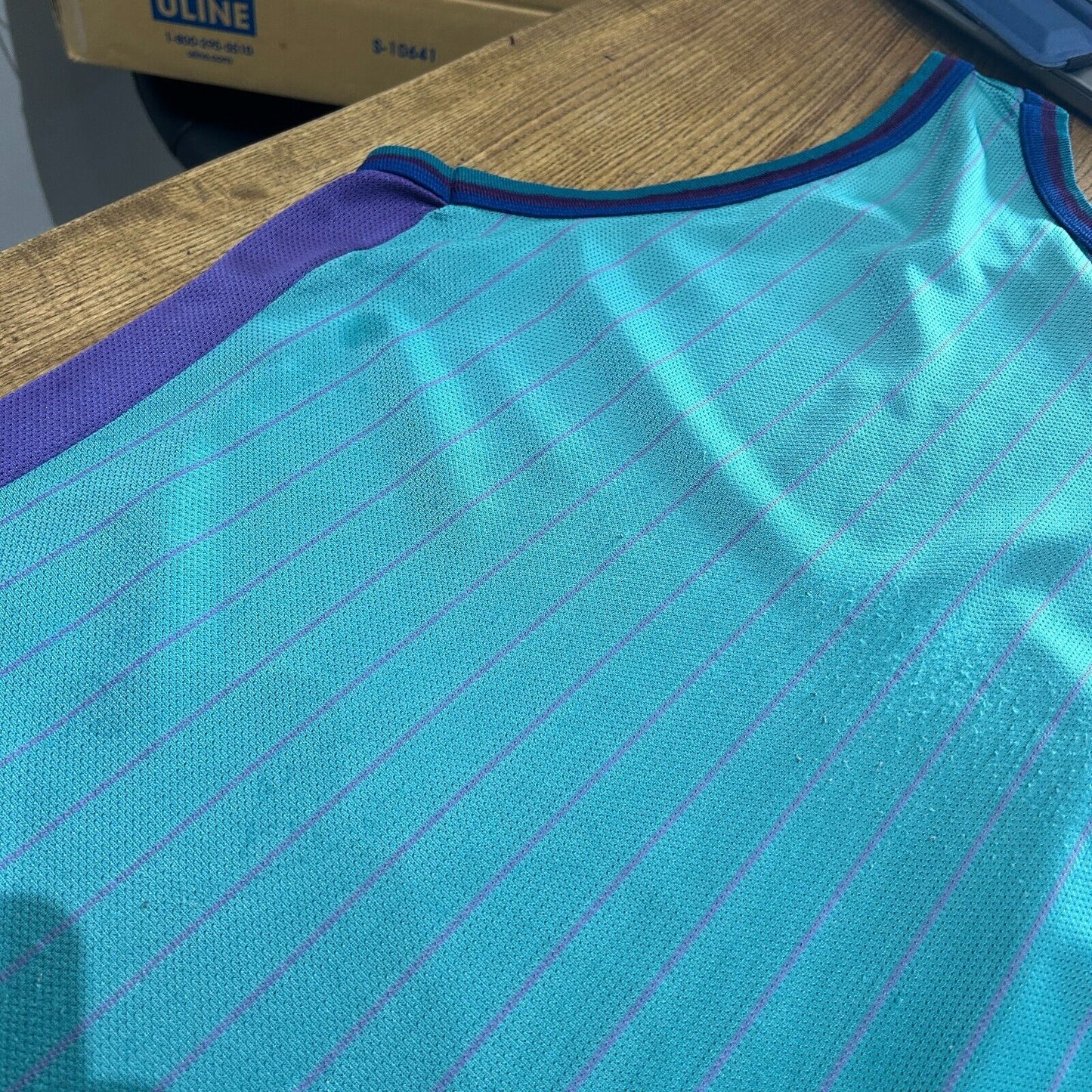 VINTAGE 90s | Charlotte Hornets Blank Champion Basketball Jersey sz L 48