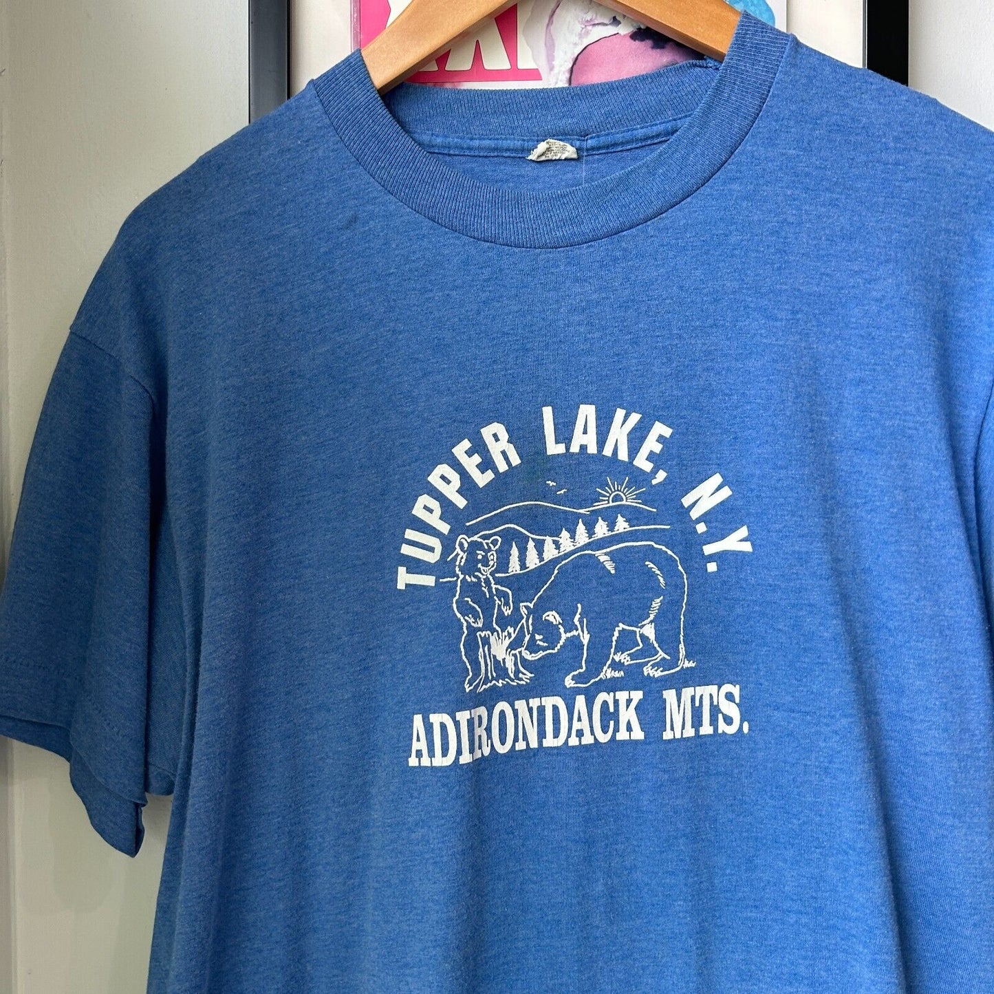 VINTAGE 80s | Tupper Lake NY Nature Blue T-Shirt sz M Adult