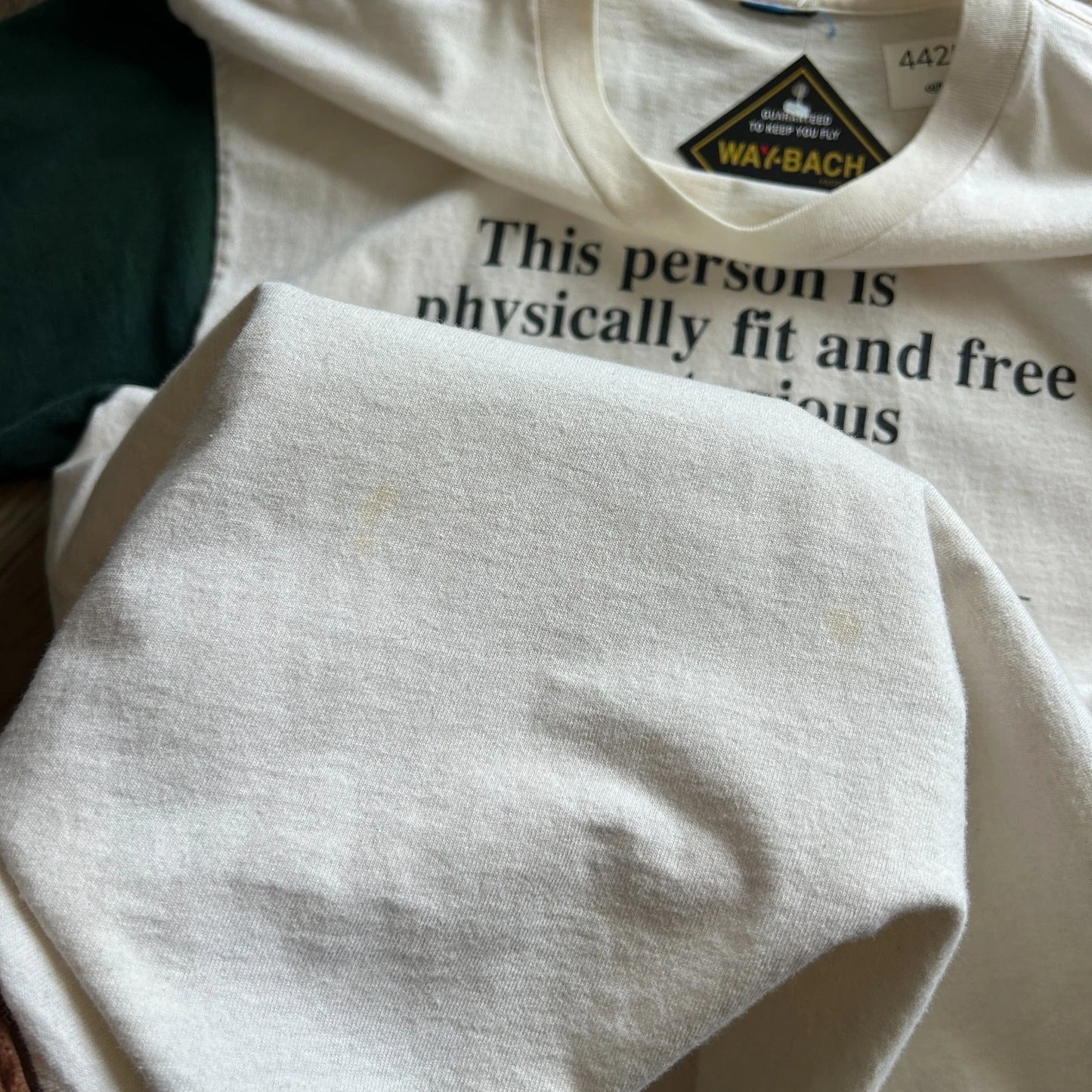 1990s | This Person Is Physically Fit & Free Of Contagious Disease T-Shirt sz L