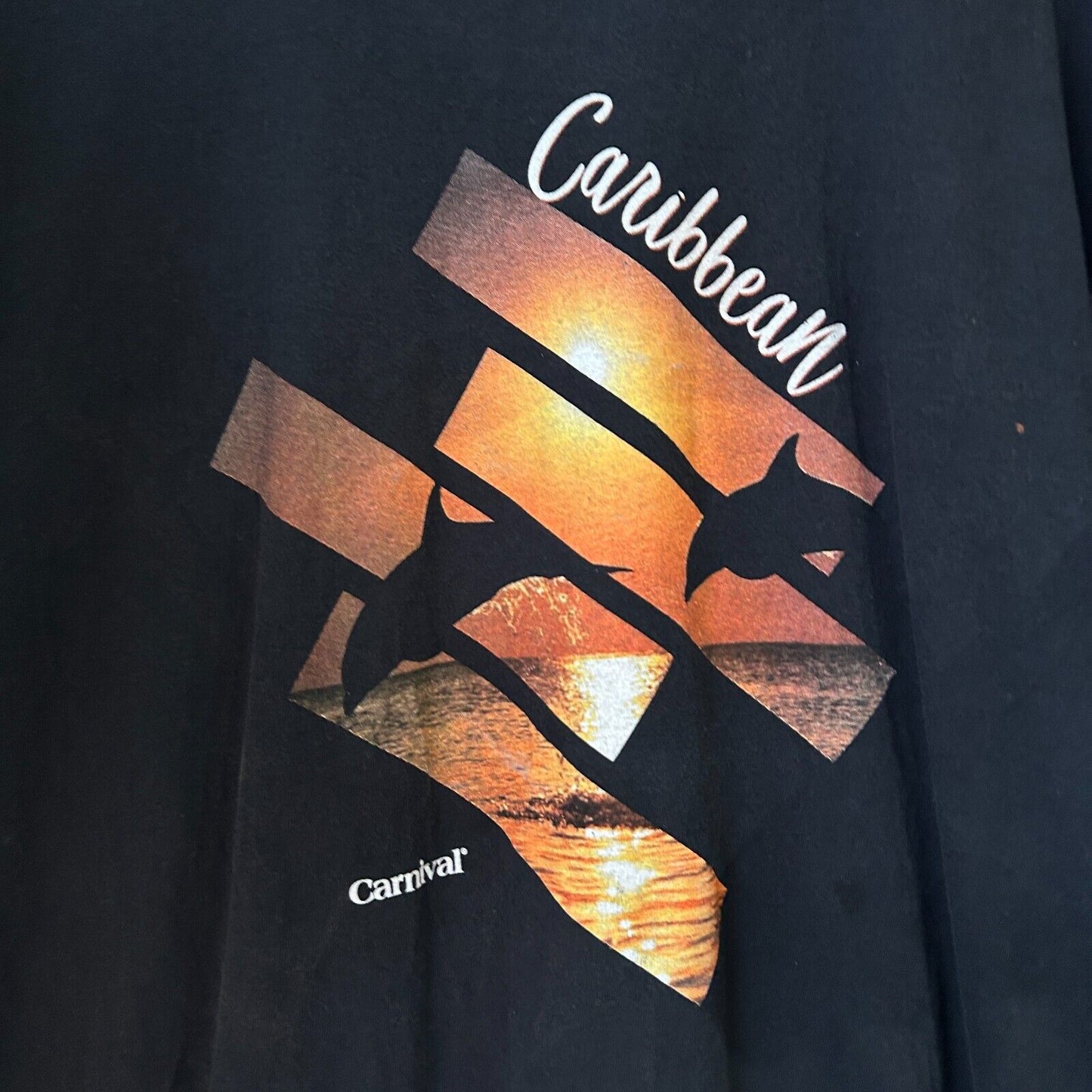 VINTAGE 90s | Carnival Caribbean Dolphins Black Nature T-Shirt sz L Adult