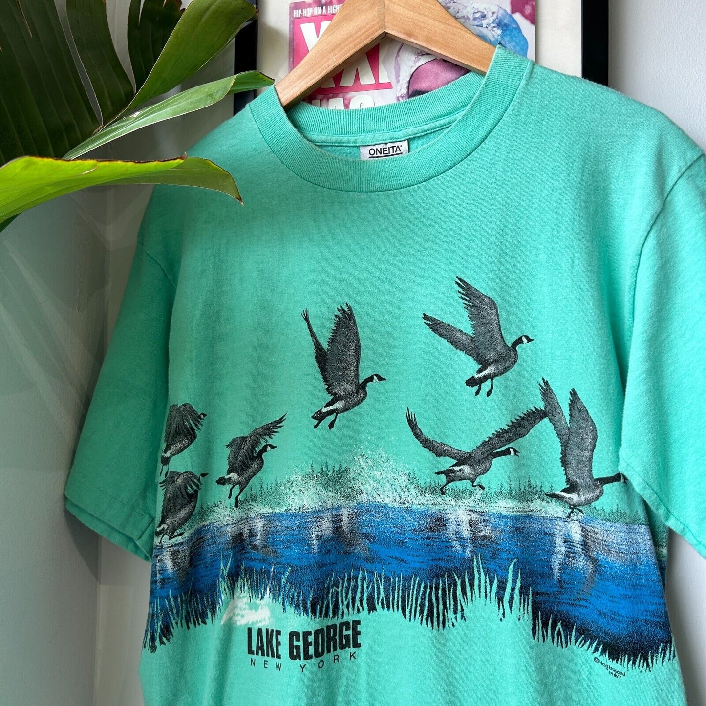 VINTAGE 80s | Lake George NY Nature Wrap Graphic Teal T-Shirt sz M Adult