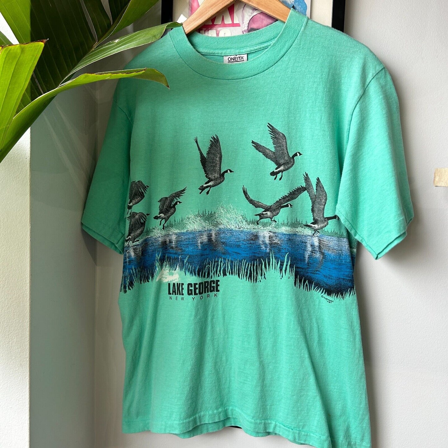 VINTAGE 80s | Lake George NY Nature Wrap Graphic Teal T-Shirt sz M Adult