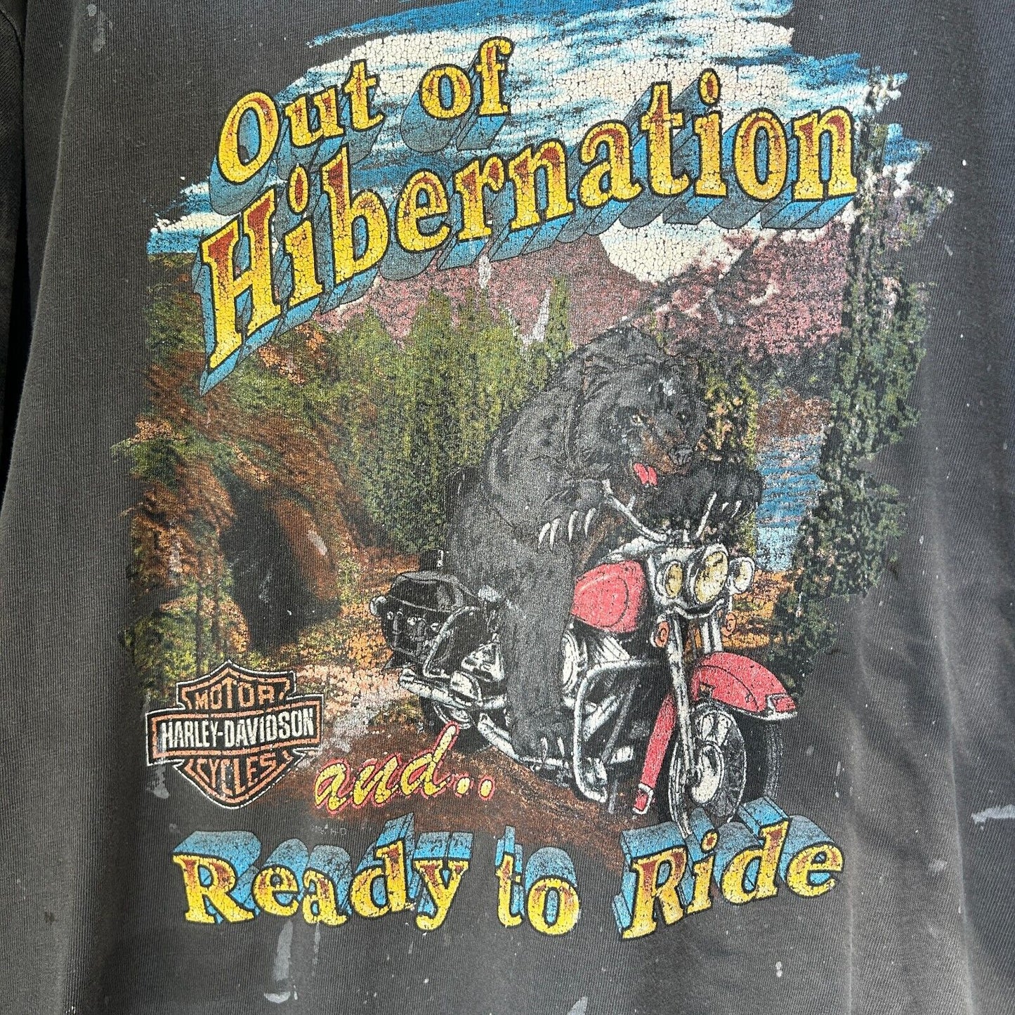 VINTAGE 90s | Harley Davidson Hibernation Biker Bear Thrashed T-Shirt sz L